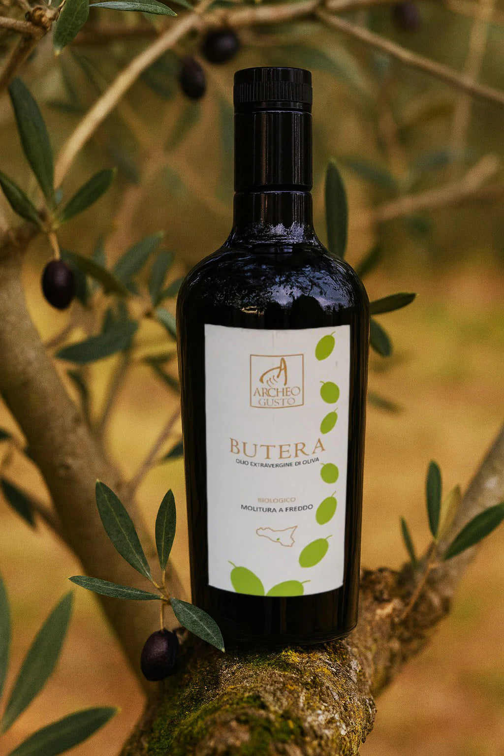 Confezione Regalo 3 Bottiglie di Olio Extravergine Biologico – ARCHEO GUSTO